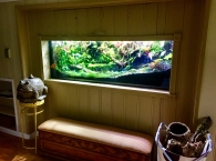 Showroom Vivarium 210