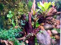 biopod scape