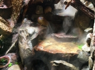 fogger