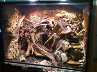 hardscape