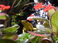 image_4