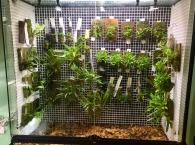 orchidarium