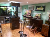 showroom
