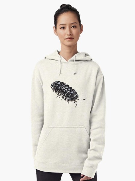 isopod
